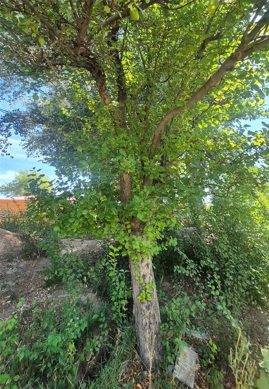 Picture 11