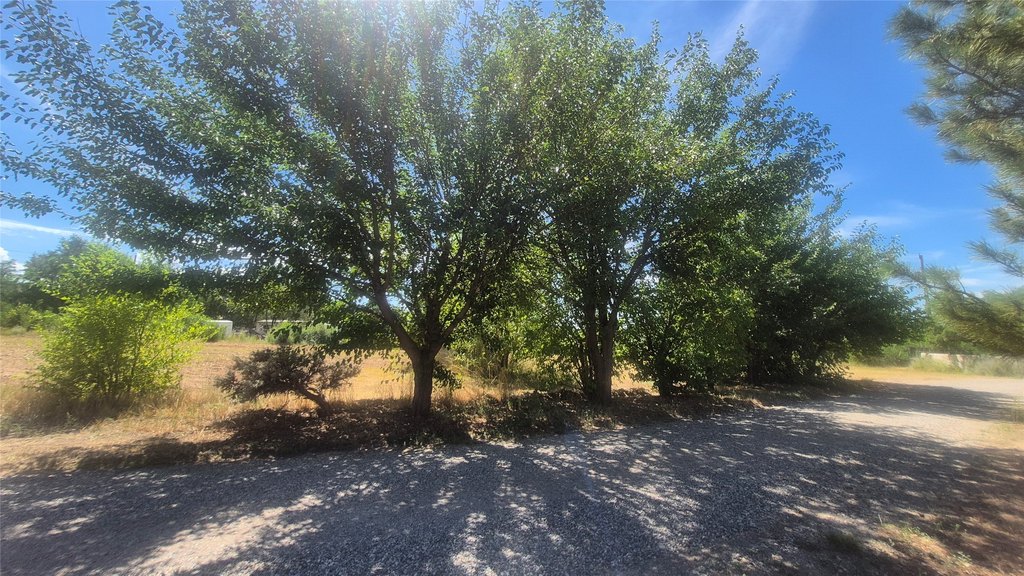 Picture 24