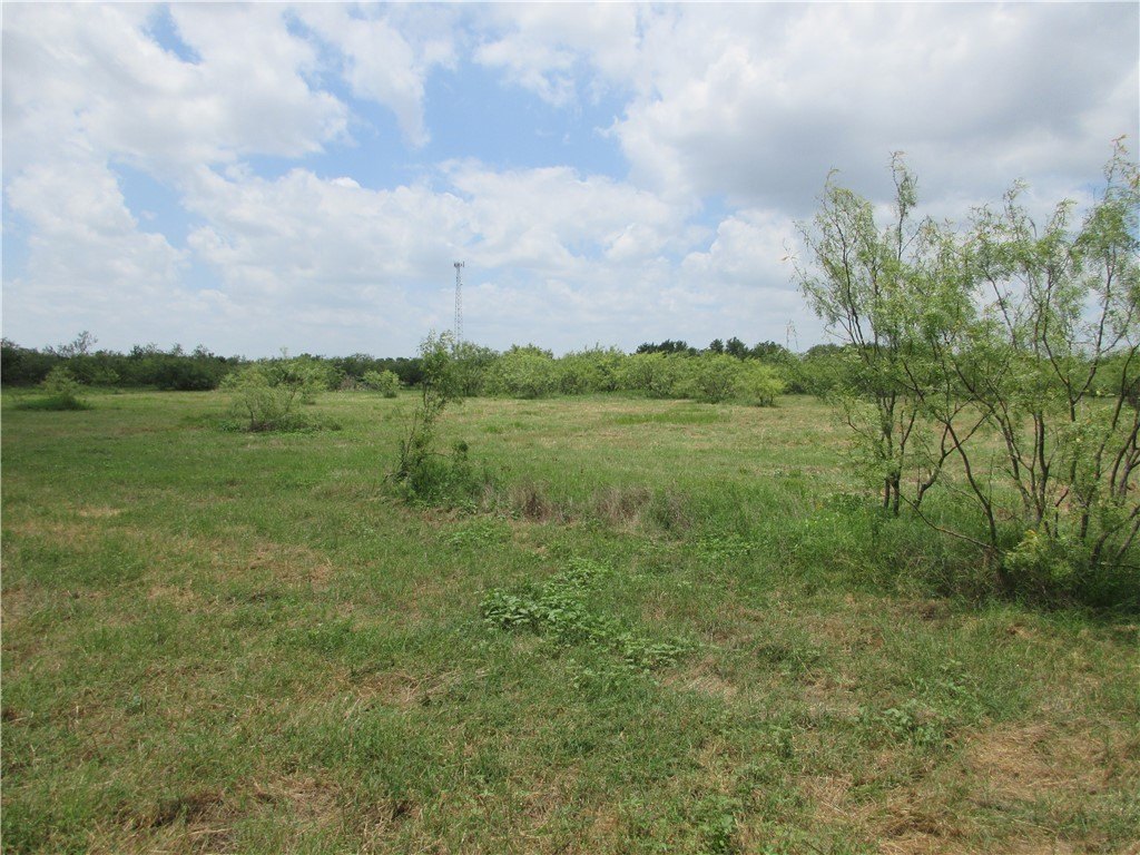 Picture 9