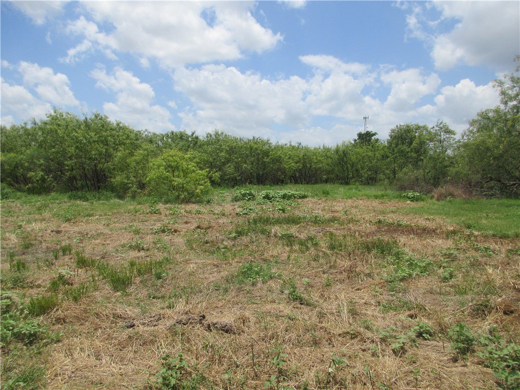 Picture 6