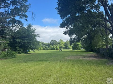 LAND - Texarkana, TX