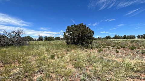 Land Near Grand Canyon, Williams