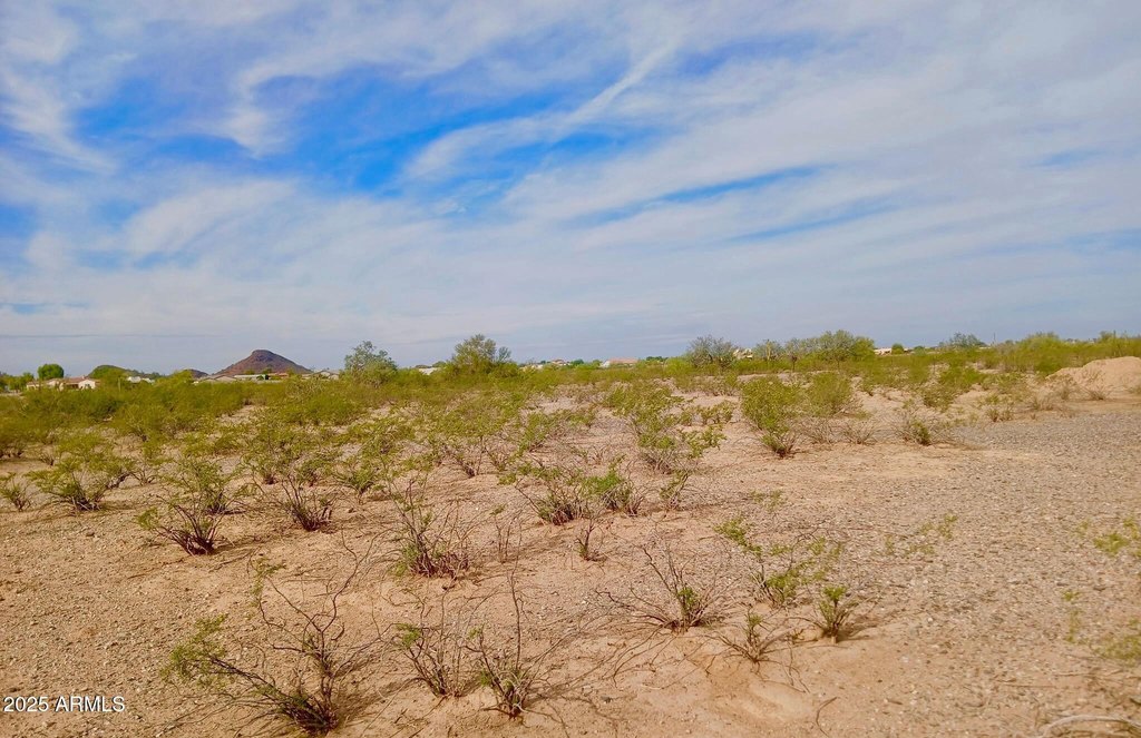 Picture 8