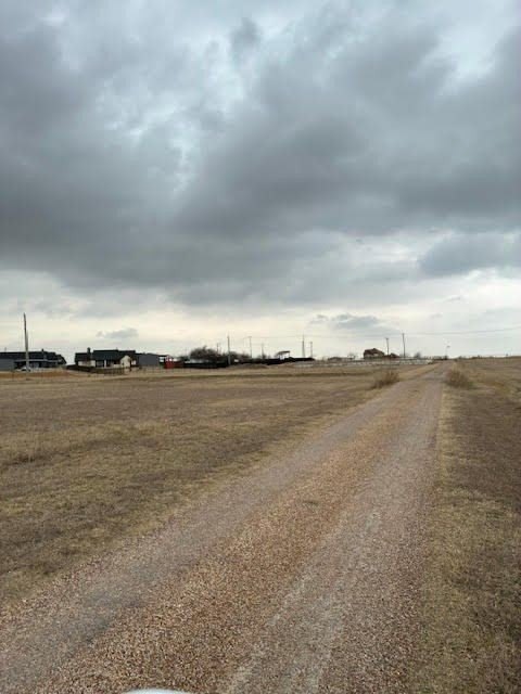 Picture 15