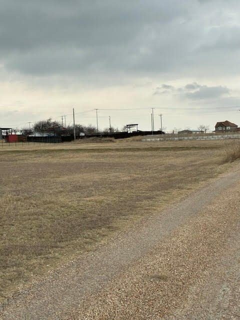 Picture 10