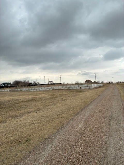 Picture 11