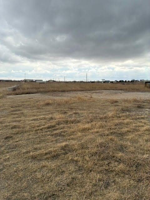Picture 14