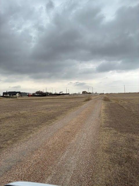 Picture 8