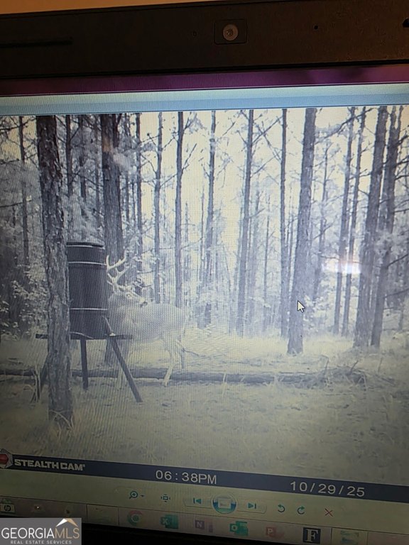 Picture 11