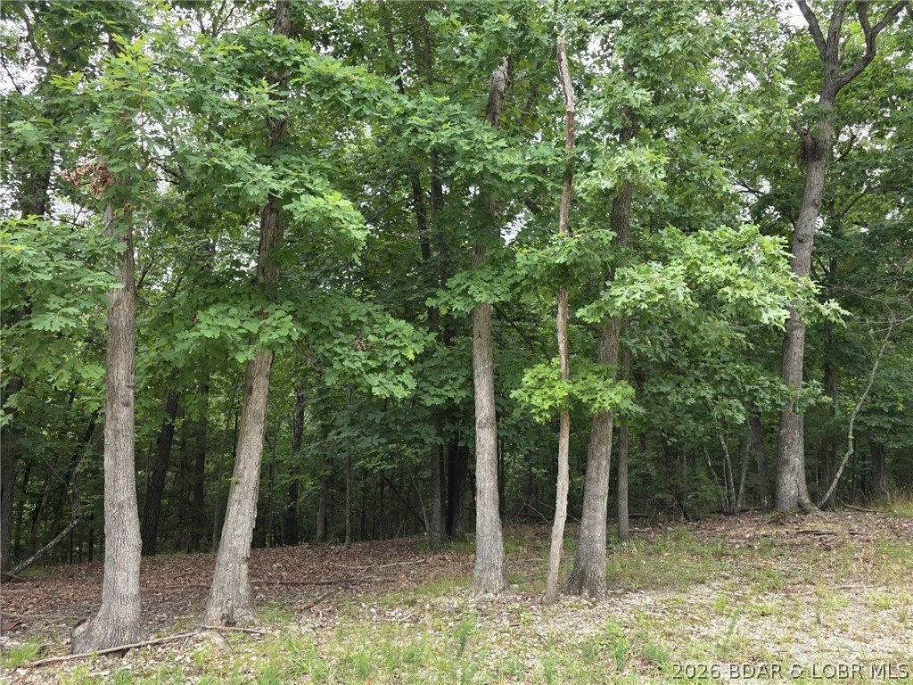 Picture 4