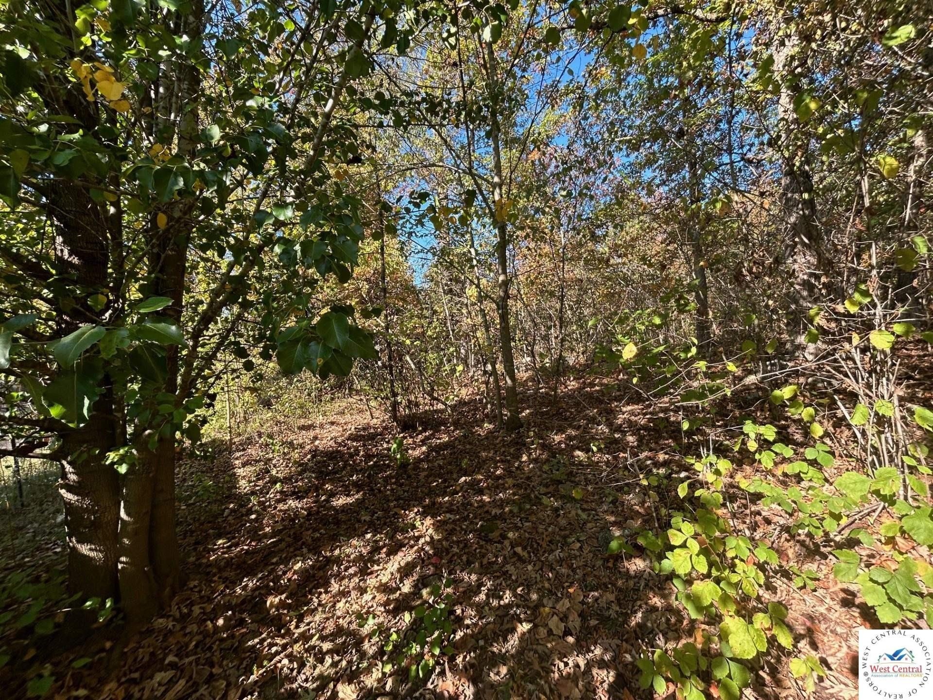 Timbered Land in Benton County