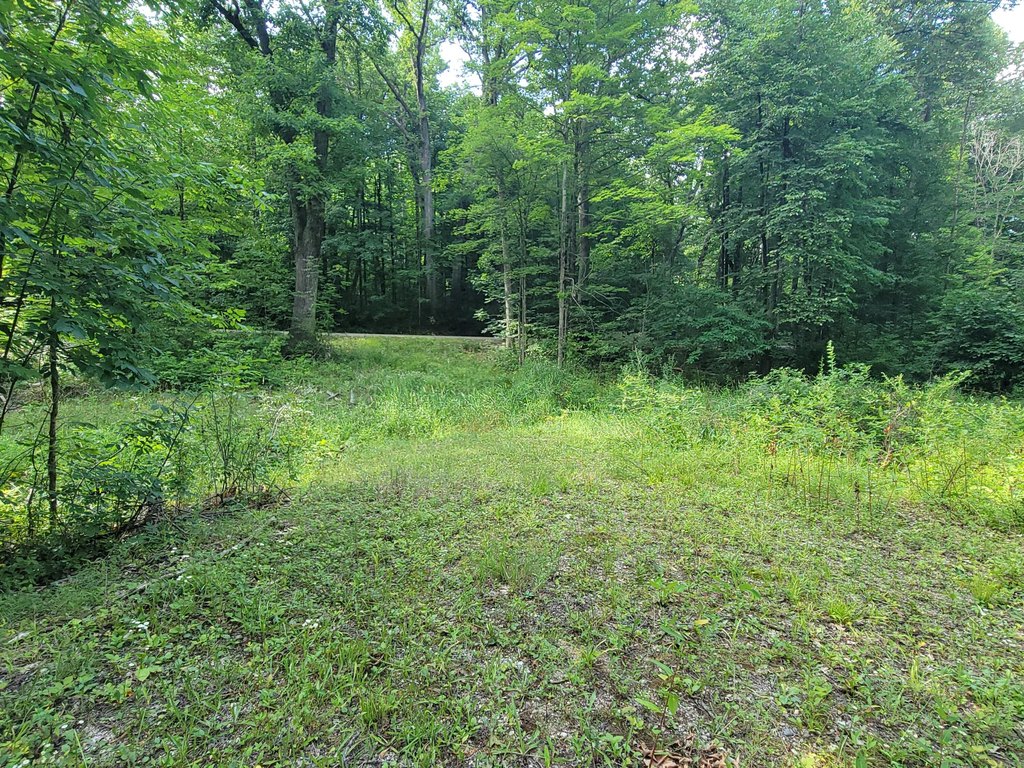 Picture 4
