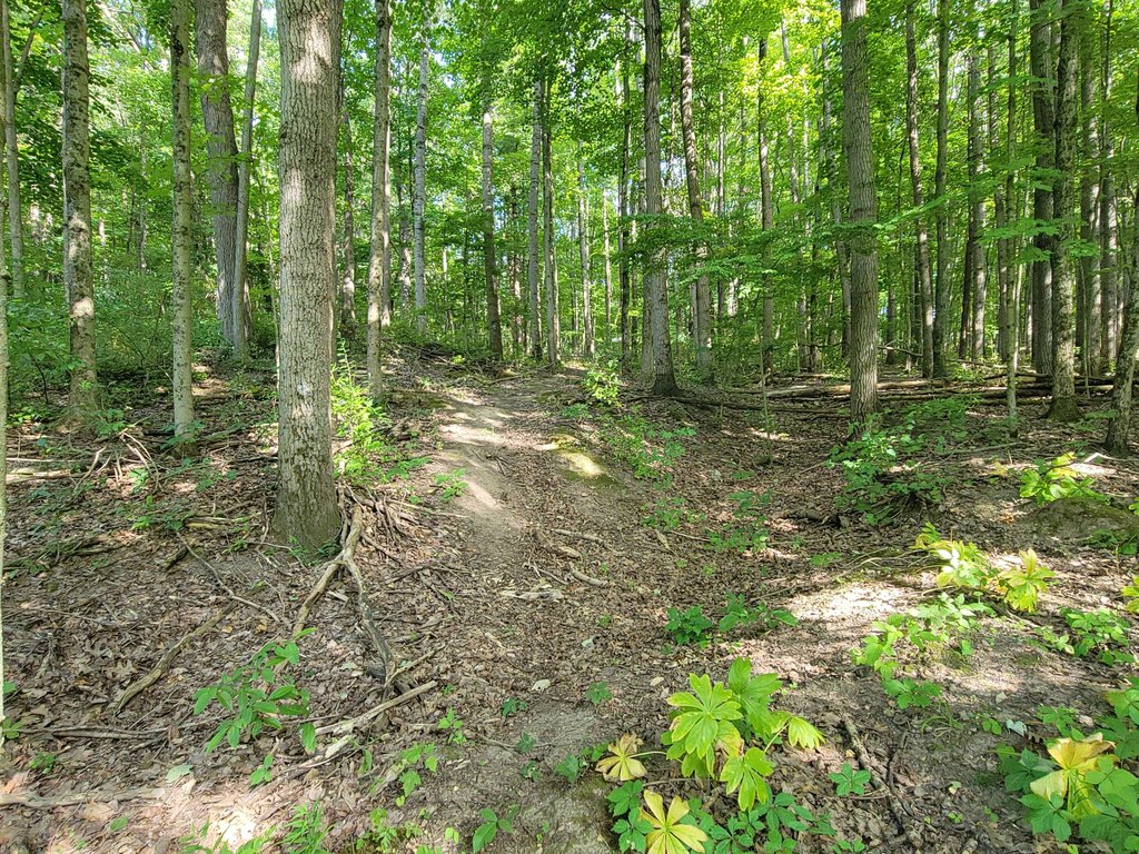 Picture 6