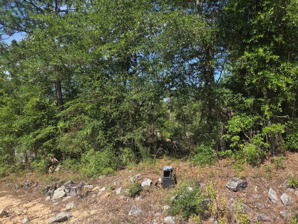 Picture 12