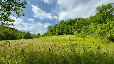 Recreational Homesite with Road Access