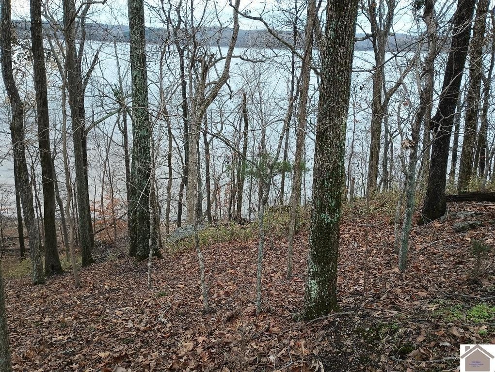 Picture 9