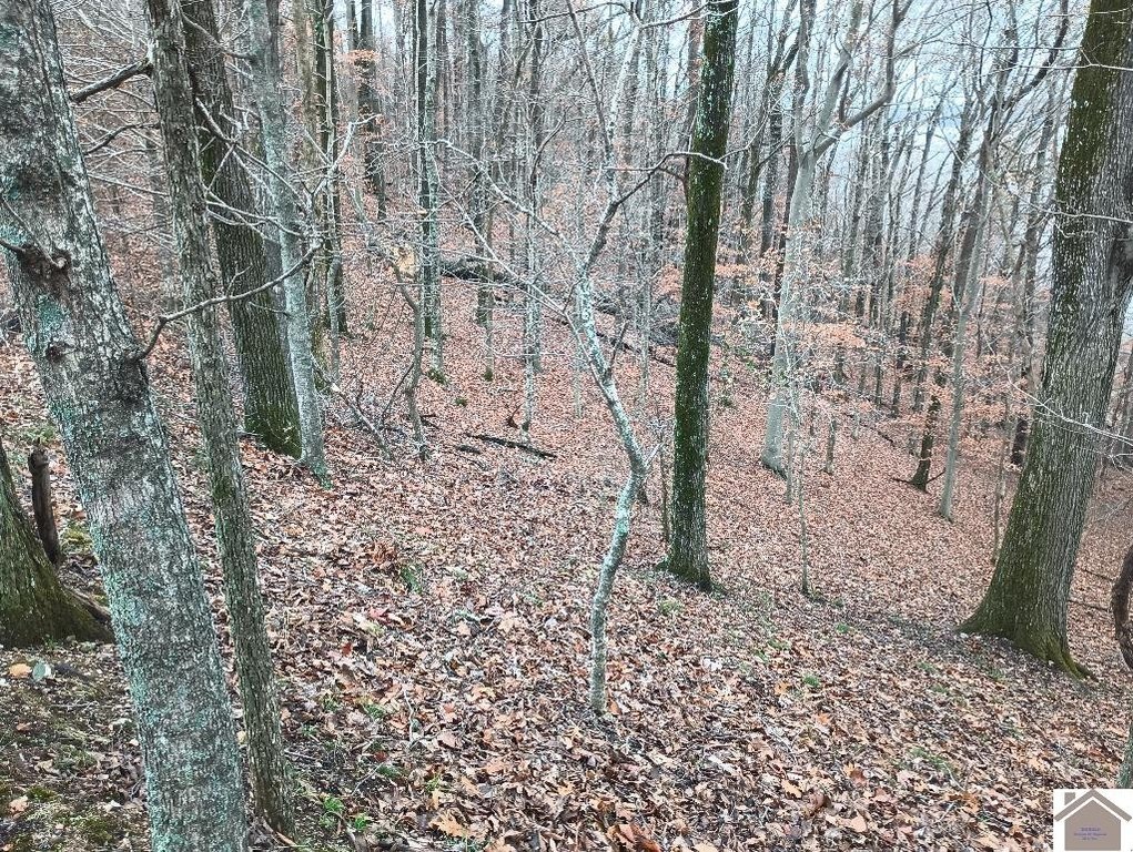 Picture 10
