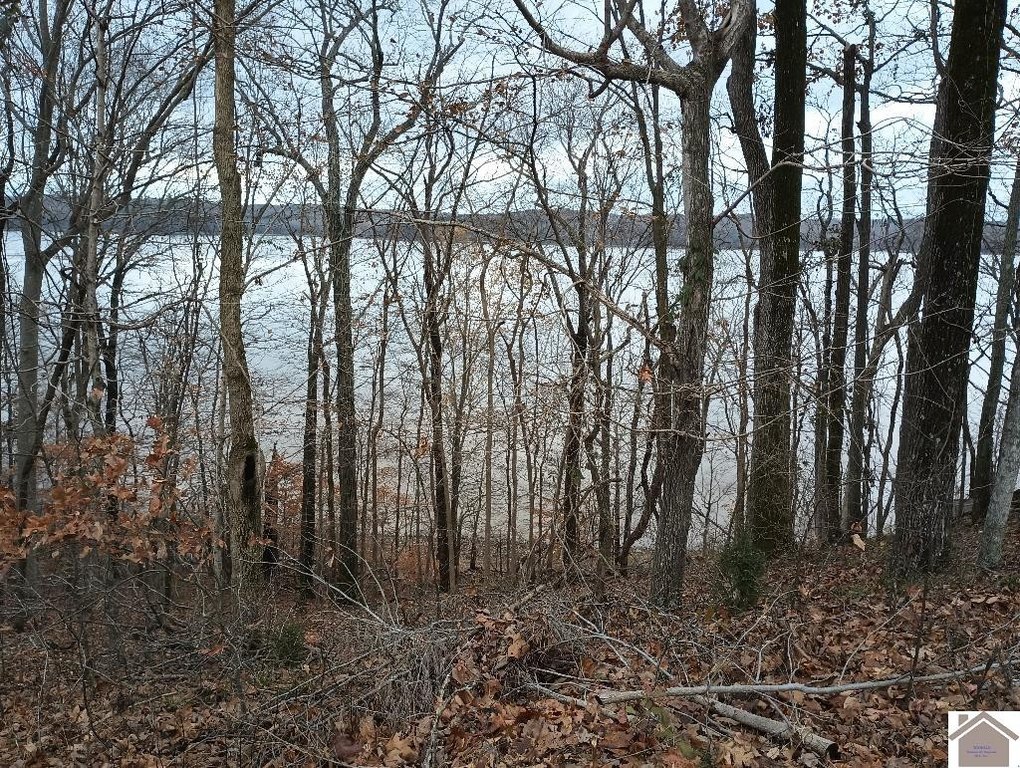 Picture 3