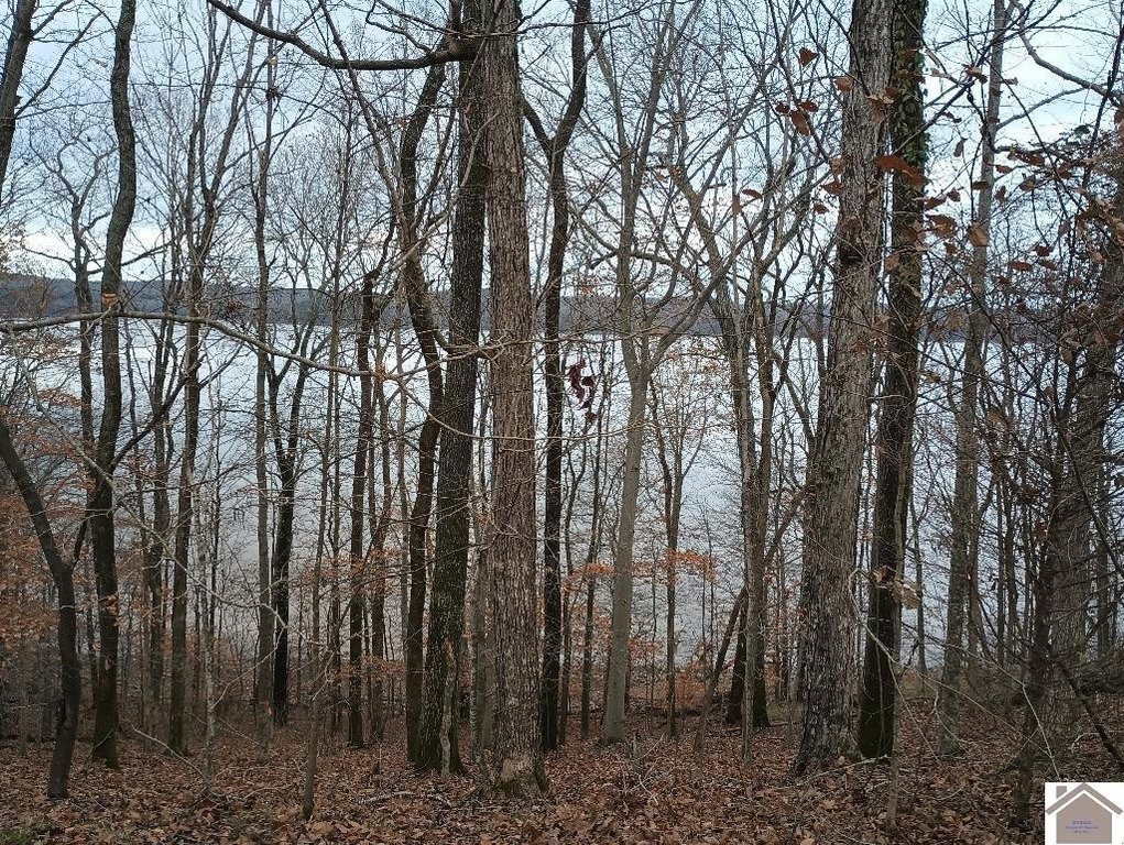 Picture 6