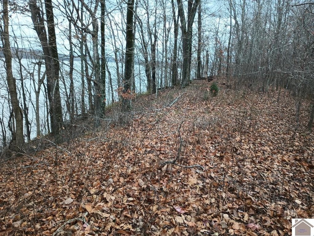 Picture 7