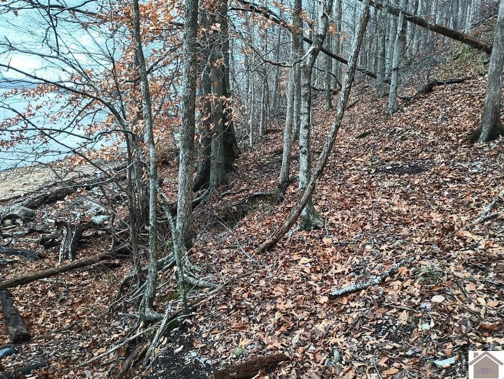 Picture 25