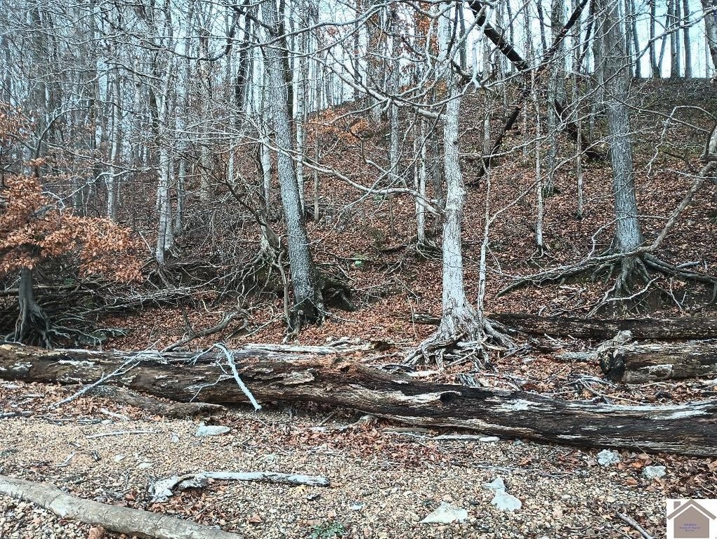 Picture 21