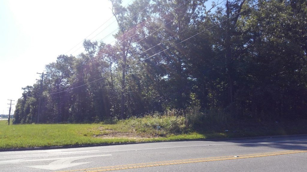 Picture 4