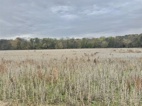 Creek-Frontage Farmland Tract