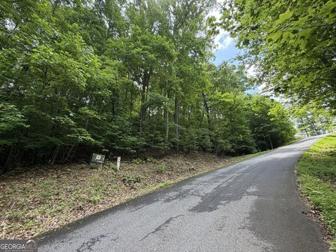 Vacant Lot, Hiawassee, GA