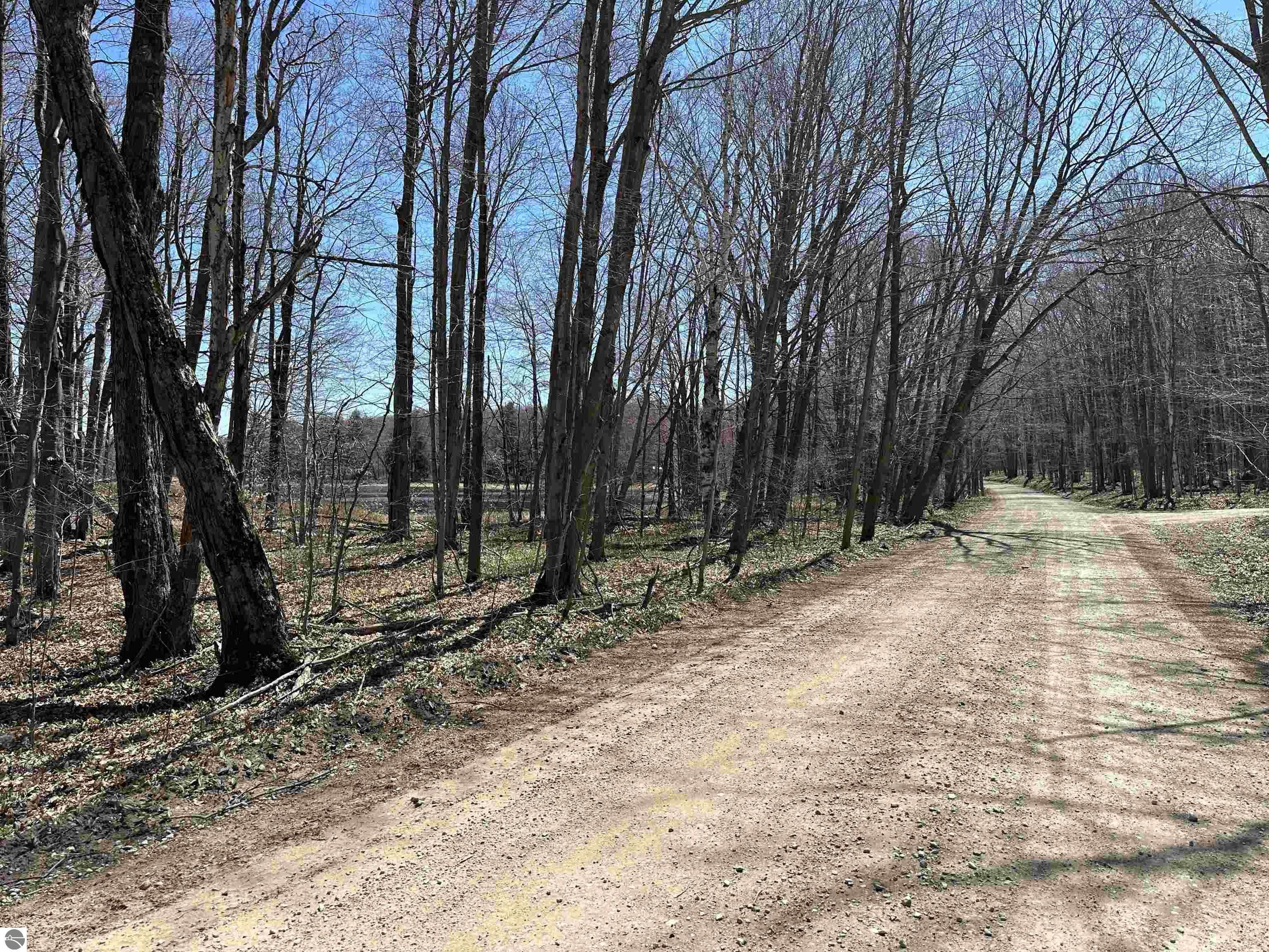 Beaver Island Vacant Woodland Lot