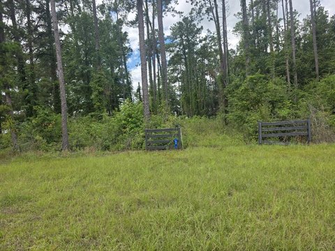 LAND - Georgetown, GA