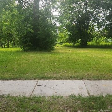 Detroit Land for Infill Building