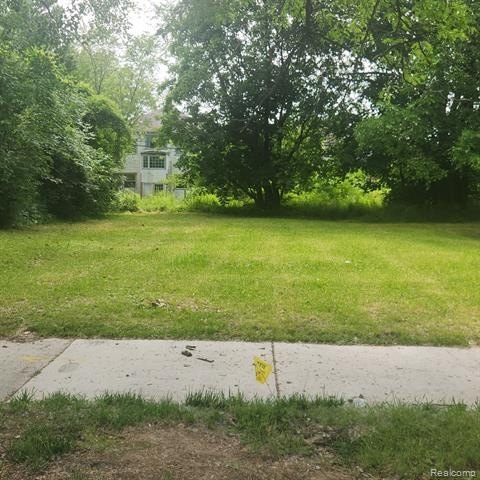 Picture 2