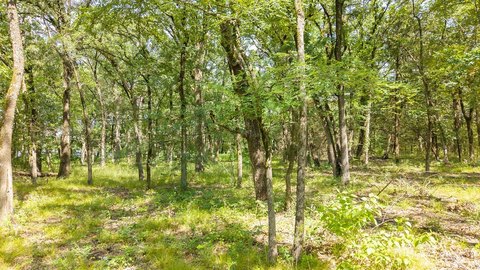 Wooded Lake-Adjacent Homesite