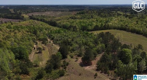 LAND - BILLINGSLEY, AL