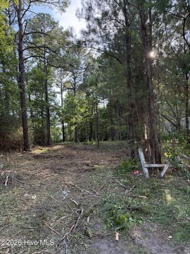 Residential Lot with Septic in Place