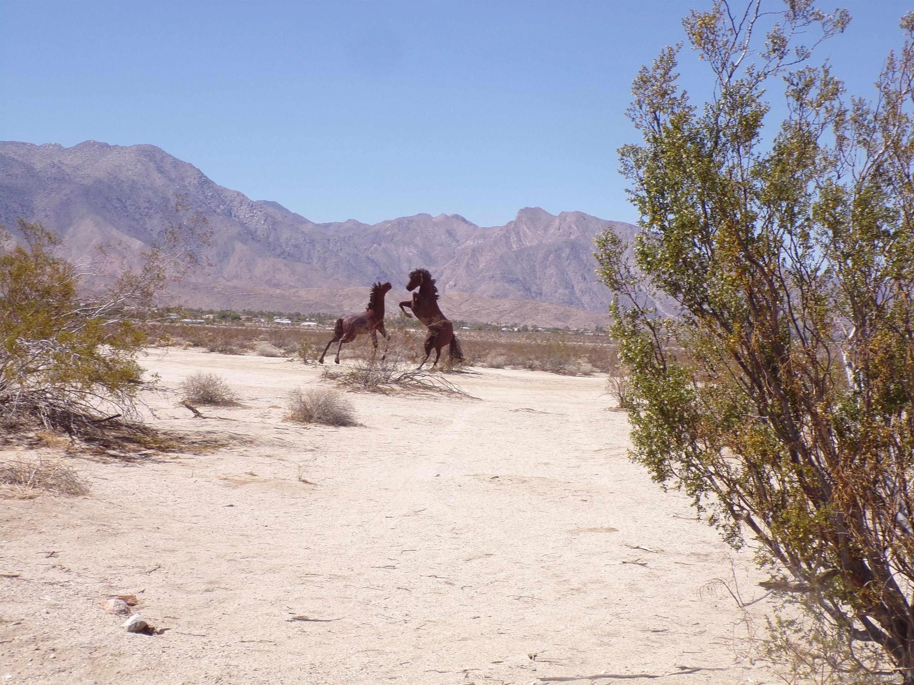 Vacant Land in Borrego Springs