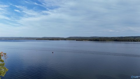 Land, Scottsboro, AL