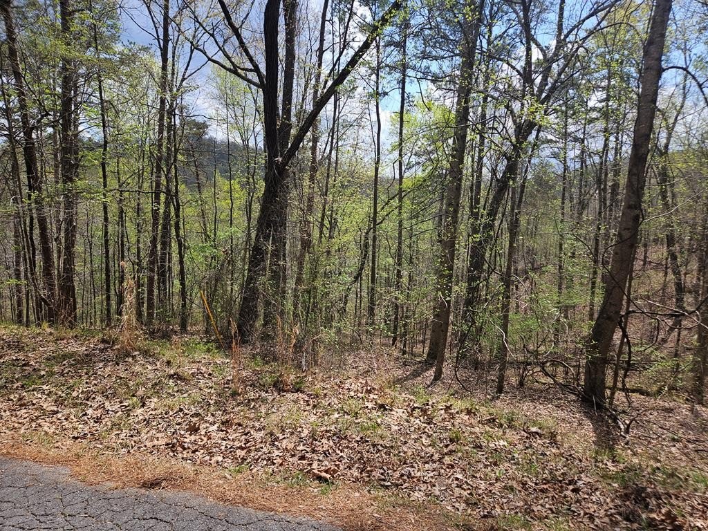 Vacant Lot in Gated Community
