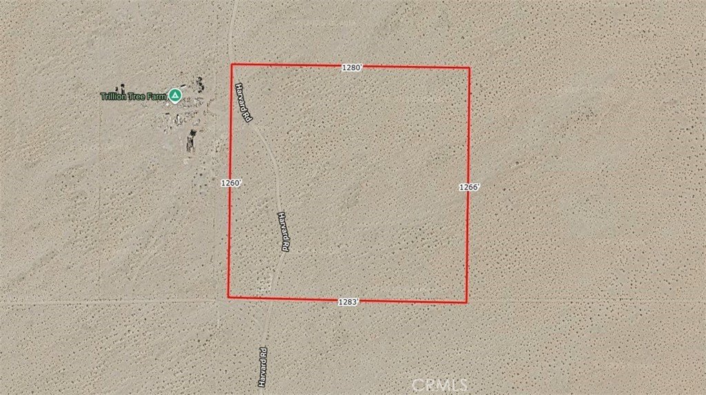 40 Acres of Usable Land