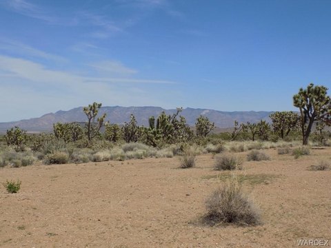 LAND - Dolan Springs, AZ