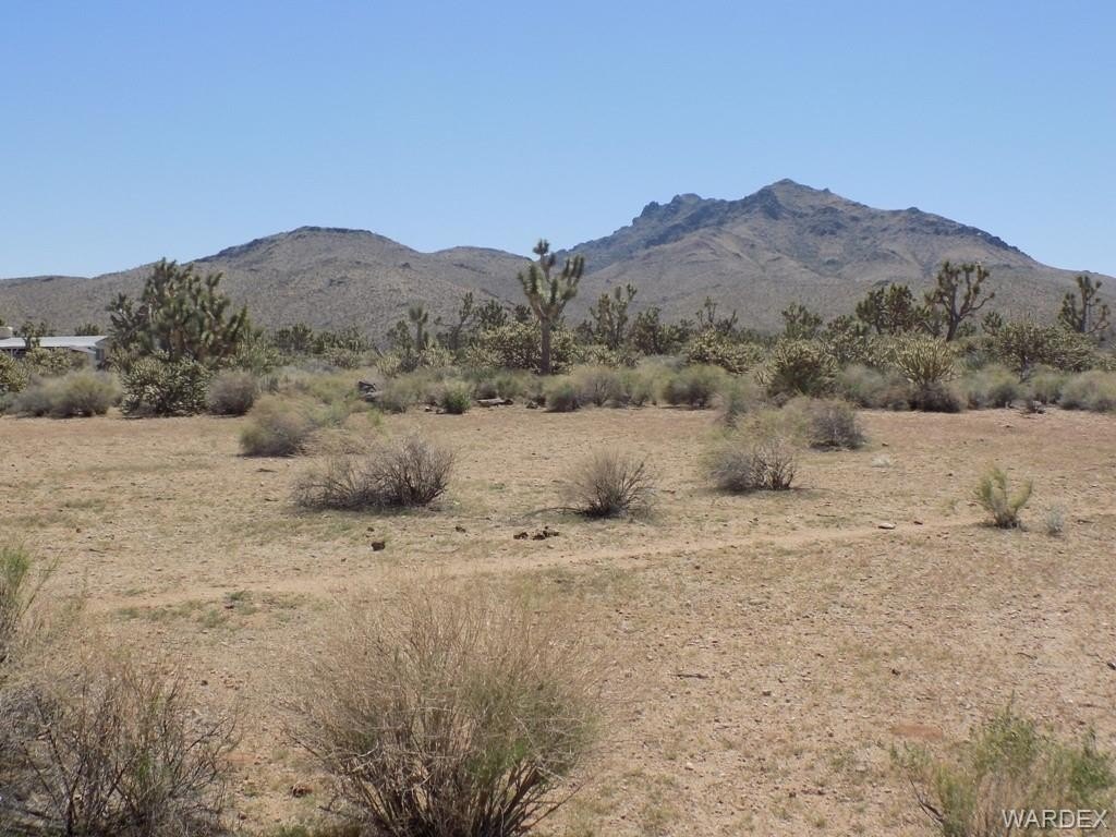 Picture 7
