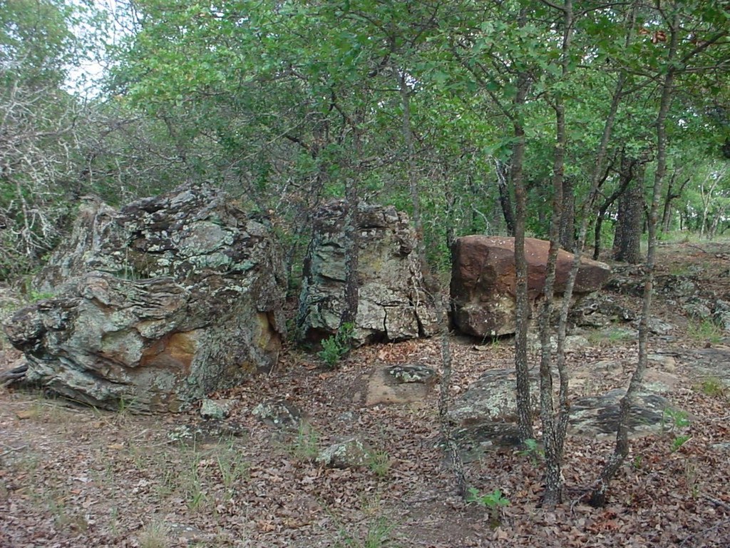 Picture 3