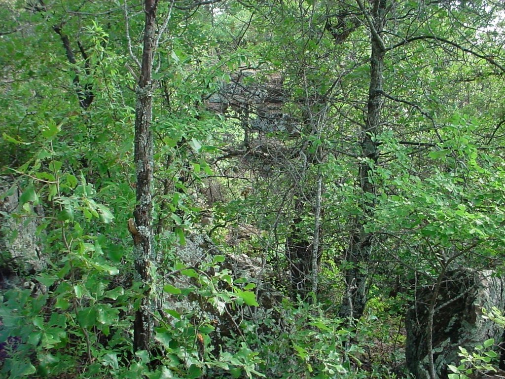 Picture 5