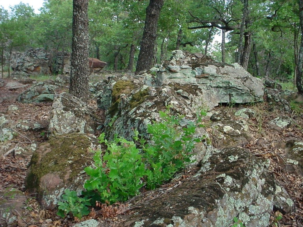 Picture 4