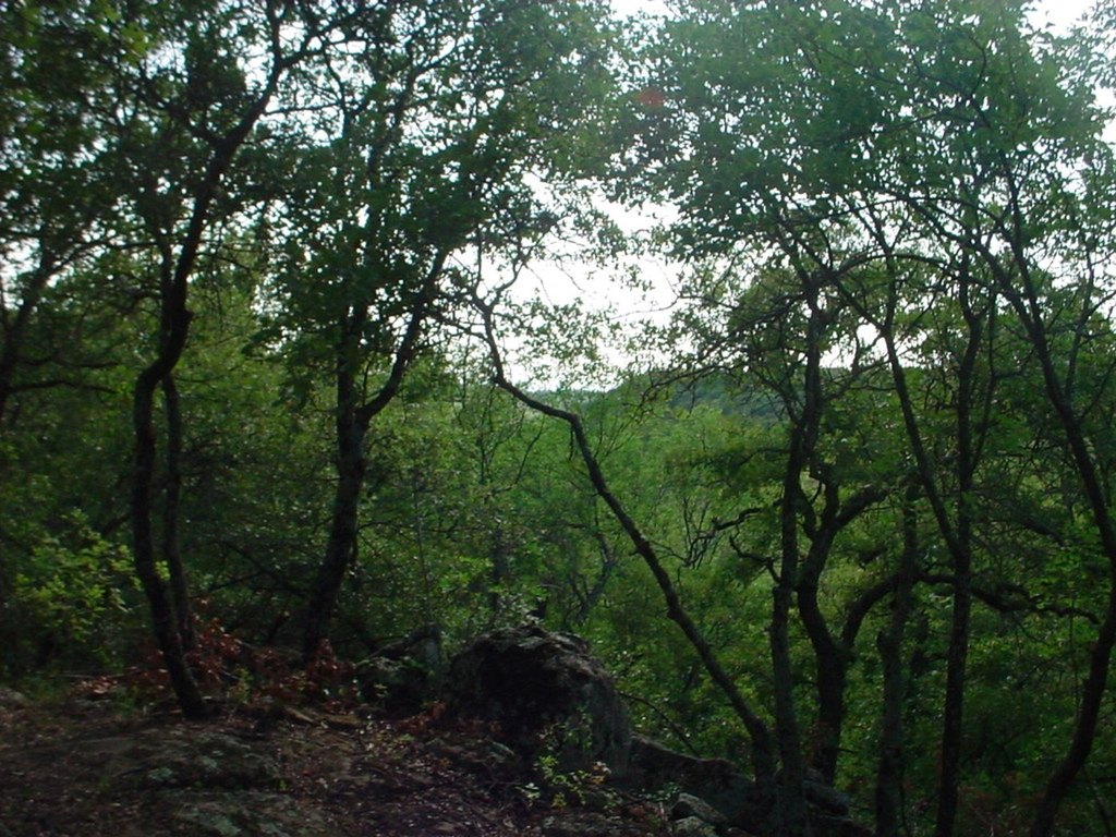 Picture 2
