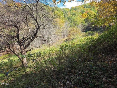 Land, Trade, TN