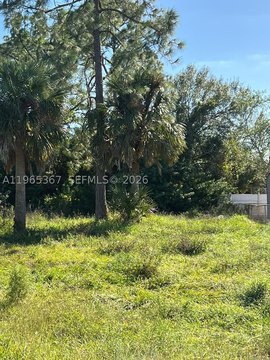 LAND - Lehigh Acres, FL