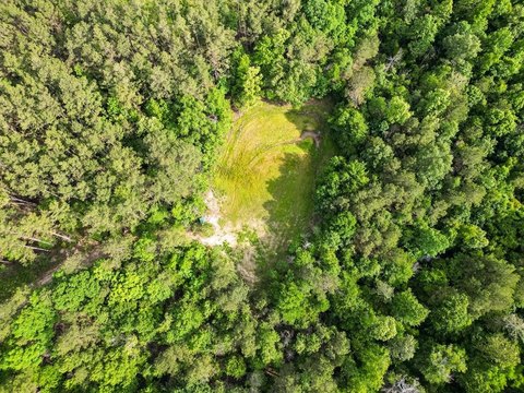 Secluded Hunting Land in Harrisonburg, LA
