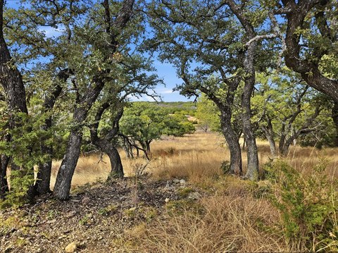 Recreational Ranch Property